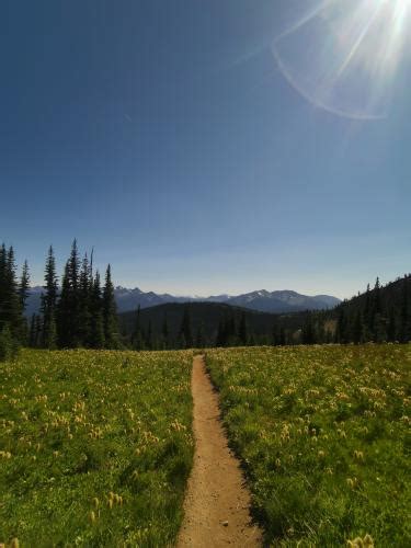 Alpine Meadows Photo | Hiking Photo Contest | Vancouver Trails