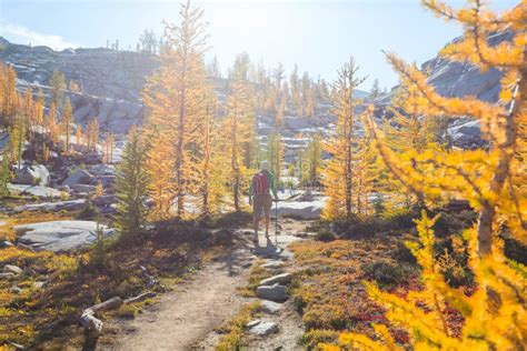 Hike in autumn season stock image. Image of journey - 258504527