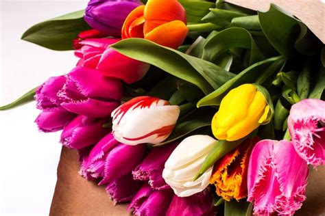 4K, 5K, Bouquets, Tulips, Closeup, HD Wallpaper | Rare Gallery