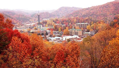 Gatlinburg Fall Colors 2024 - Erna Kayley