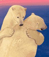 Polar Bears: Animated Images, Gifs, Pictures & Animations - 100% FREE!