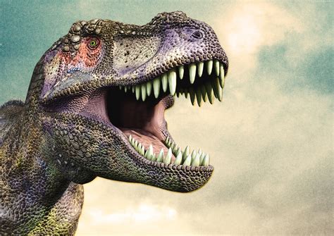 T Rex Dinosaur HD 4K Wallpapers - Wallpaper Cave