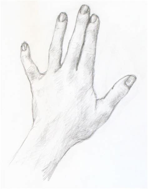 Drawing Tutorial: A Simple Drawing of Your Hand « Portrait Artist from ...