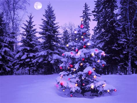 Christmas Tree Wallpapers - Wallpaper Cave