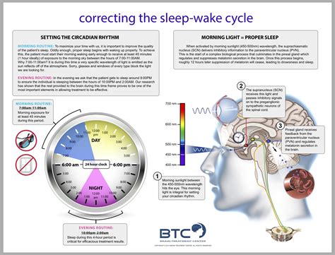 What Is Circadian Rhythm Pubmed at Robert Gratton blog