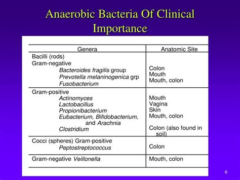 PPT - Anaerobic Bacteria PowerPoint Presentation - ID:2122265