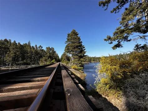 10 Best Hikes and Trails in Oregon Dunes National Recreation Area ...