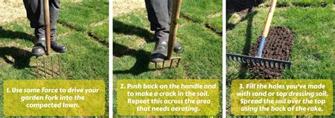 How To Aerate Your Lawn With A Garden Fork - Garden Likes