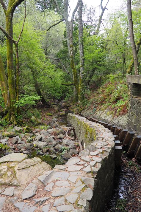 Picnic at Reinhardt Redwood Regional Park - Lonely Hiker