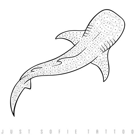 Whale Shark Outline Drawing - Whale shark silhouette / outline off ...