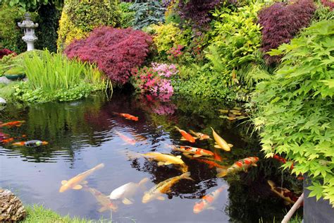 24 Stunning Koi Pond Design Ideas