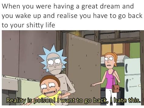 Rick and Morty meme : r/rickandmorty