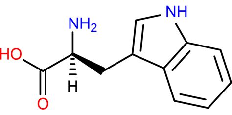 Tryptophan Structure - Science Notes and Projects