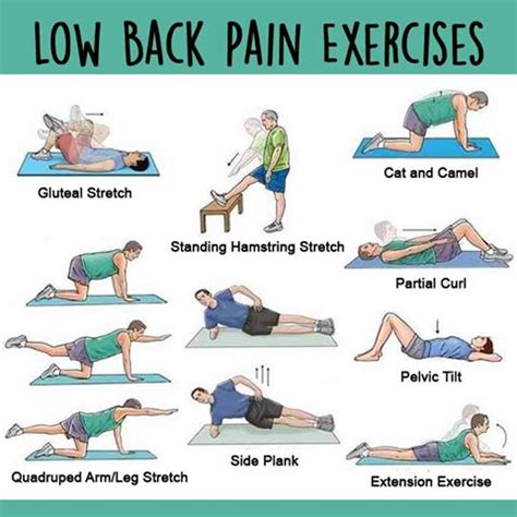 Back Extension Exercises Lower Back Pain - Exercise Poster