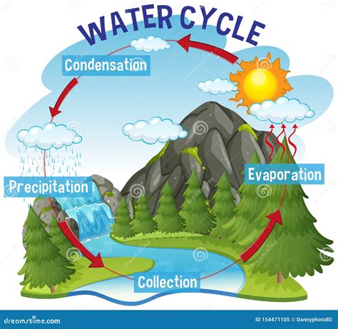 Water Cycle In Nature Cartoon Vector | CartoonDealer.com #42753827