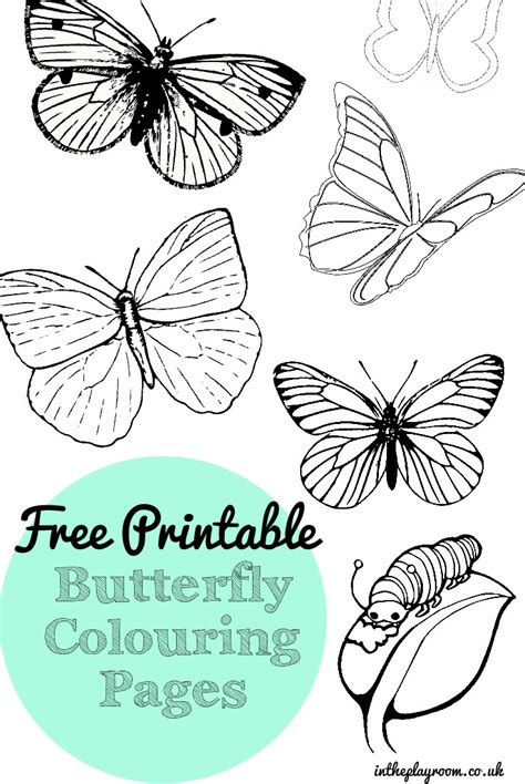 Free Printable Butterfly Colouring Pages In The Playroom