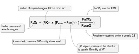 Alveolar Gas Equation