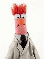 Beaker from The Muppet Show wins