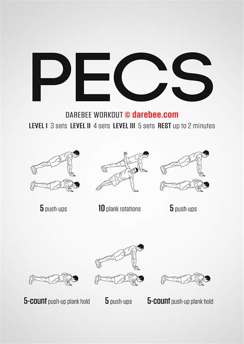 Pecs Workout