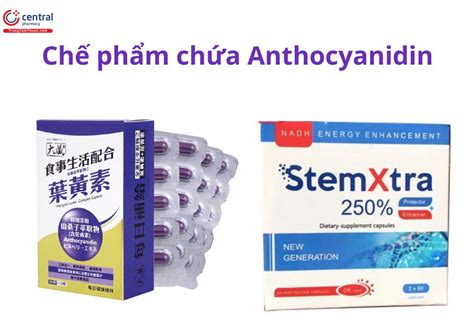 Anthocyanidin - Flavonoid quan trọng có tác dụng chống oxy hóa