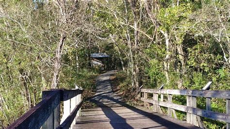 Great Hiking Trails in Louisiana: Here Is a List