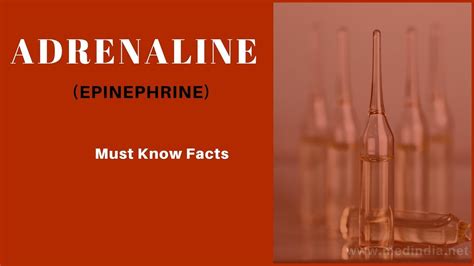 What Is Epinephrine Adrenaline