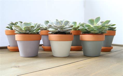 easy DIY painted terra cotta pots - Willow Bloom Home