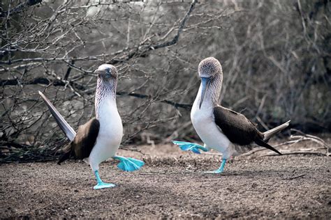 The Islands | Galápagos Conservancy