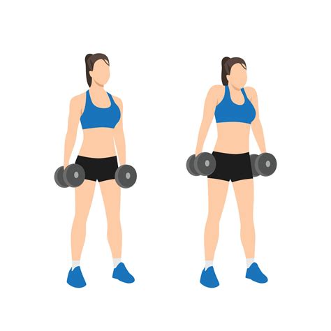 Woman doing Dumbbell shrugs exercise. Flat vector illustration isolated ...