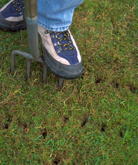 When to aerate a lawn: experts reveal the definitive answer | Gardeningetc