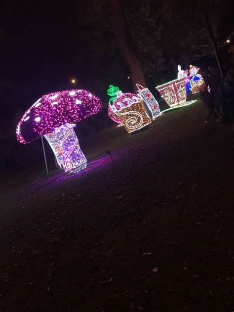 Sunderland Illuminations – Pretty Style of Living