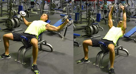 Modified Incline Dumbbell Fly Exercise - The Optimal You