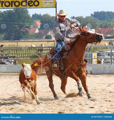 The Cowboy In A Calf Roping Competition. Editorial Stock Image - Image ...