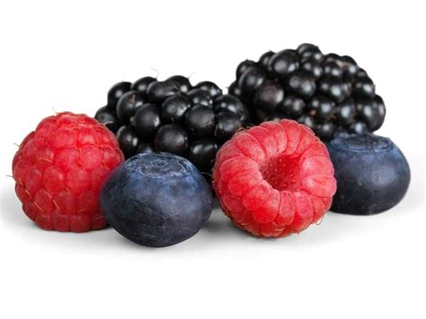 Types of Berries - Healthy and Popular Choices - Northern Nester