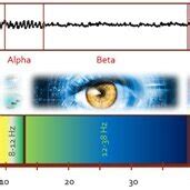 EEG Frequency Bands with specific brain states and activities ...