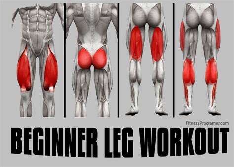 Leg Day: The Ultimate Beginner Leg Workout Routine