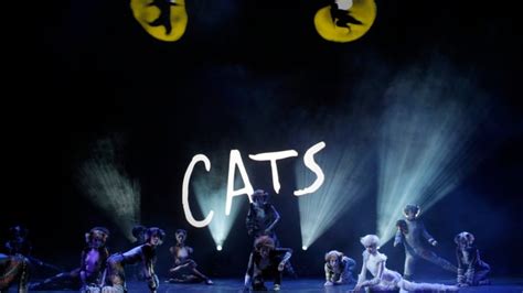 Cats, once Broadway's longest running musical, to return this summer ...