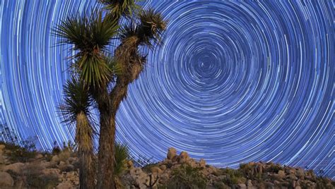 Stunning Timelapse of Joshua Tree Night Sky | Moss and Fog