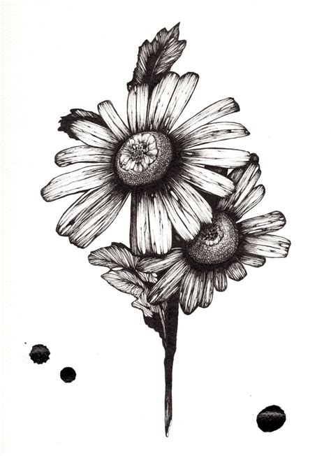 Pen And Ink Drawings With Watercolor at PaintingValley.com | Explore ...