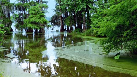 Louisiana National and State Parks, Lakes, and Historical Sites ...