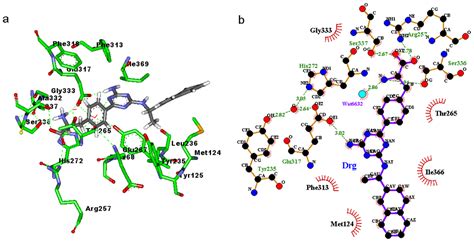 Tryptophan hydroxylase; Tryptophan Monooxygenase