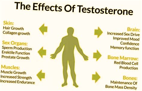 What You Should Know About Side Effects of Taking Testosterone ...