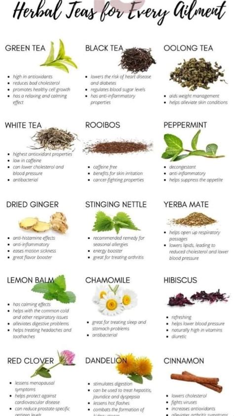 Best 12 Herbal medicine chart for different ailments part 1 4 – Artofit