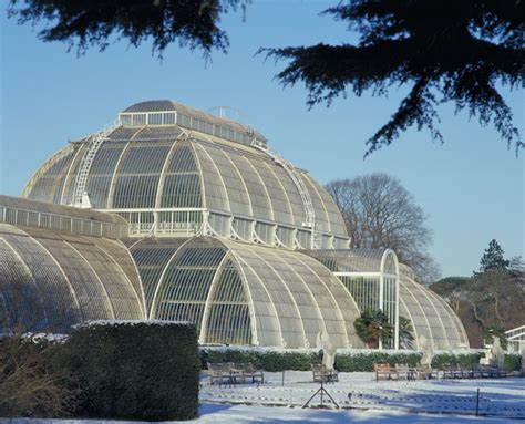 Ticket Offer: Visit Kew Gardens This Winter For Just £9.50 | Londonist