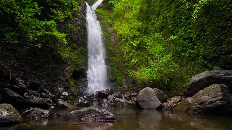 Rainforest Waterfall - Stock Video | Motion Array