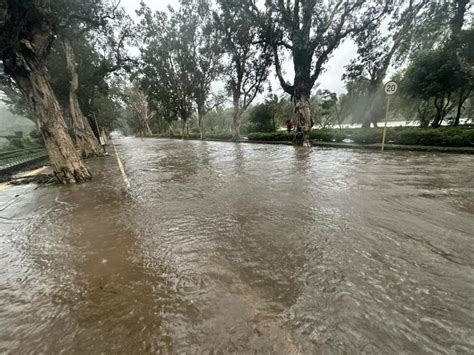 Typhoon 'Egay' makes landfall, raising Signal 4 warnings in Northern ...