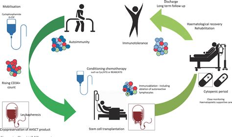 [PDF] Autologous hematopoietic stem cell transplant for autoimmune ...