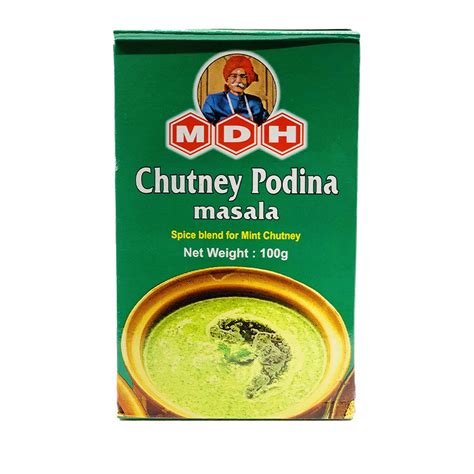 MDH Chutney Pudina 100gm – Spice Village