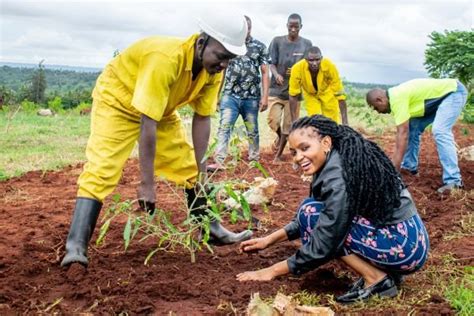 Kenya Coastal Trees: the joy of tree planting — Vipingo Ridge