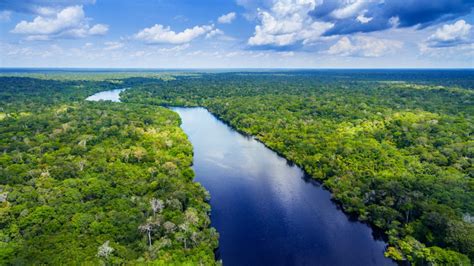 Amazon River: Unveiling the Significance of the Cultural Tapestry